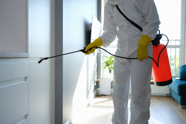 Best DIY Mold Remediation Support Services in Bellwood, VA
